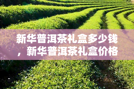 新华普洱茶礼盒多少钱，新华普洱茶礼盒价格全解析