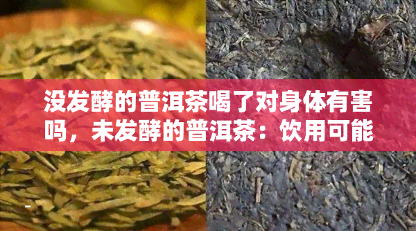 没发酵的普洱茶喝了对身体有害吗，未发酵的普洱茶：饮用可能对身体健造成危害