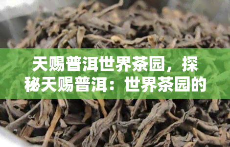 天赐普洱世界茶园，探秘天赐普洱：世界茶园的魅力与美丽