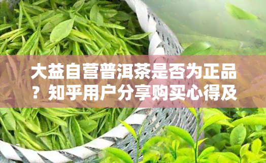 大益自营普洱茶是否为正品？知乎用户分享购买心得及价格分析