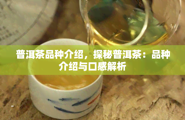 普洱茶品种介绍，探秘普洱茶：品种介绍与口感解析