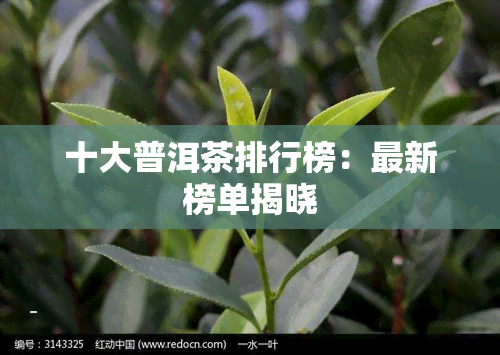 十大普洱茶排行榜：最新榜单揭晓