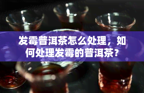 发霉普洱茶怎么处理，如何处理发霉的普洱茶？