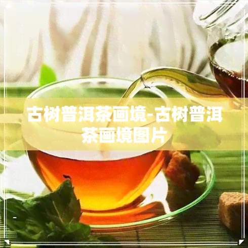 古树普洱茶画境-古树普洱茶画境图片