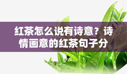 红茶怎么说有诗意？诗情画意的红茶句子分享