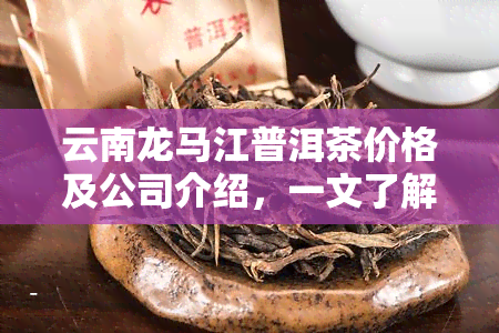 云南龙马江普洱茶价格及公司介绍，一文了解普洱茶与绿茶的区别