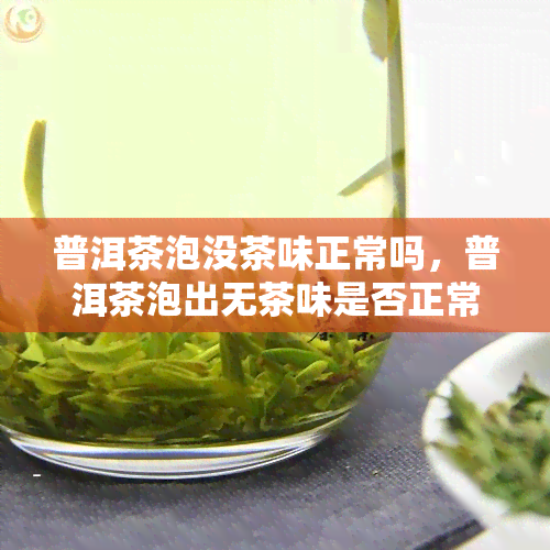 普洱茶泡没茶味正常吗，普洱茶泡出无茶味是否正常？探讨茶叶冲泡技巧与品质问题