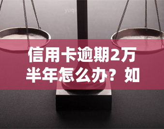 信用卡逾期2万半年怎么办？如何解决长期拖欠问题？