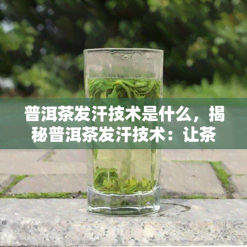 普洱茶发汗技术是什么，揭秘普洱茶发汗技术：让茶叶焕发新生命的独特工艺