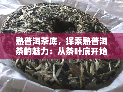 熟普洱茶底，探索熟普洱茶的魅力：从茶叶底开始的旅程