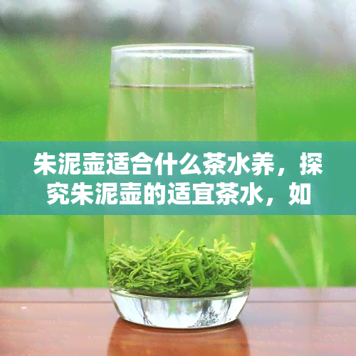 朱泥壶适合什么茶水养，探究朱泥壶的适宜茶水，如何养好你的朱泥壶？