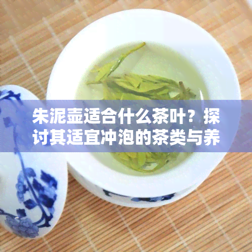 朱泥壶适合什么茶叶？探讨其适宜冲泡的茶类与养护方法