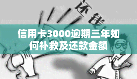 信用卡3000逾期三年如何补救及还款金额