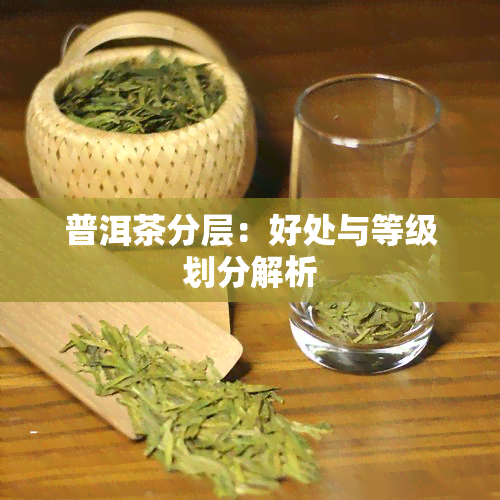 普洱茶分层：好处与等级划分解析