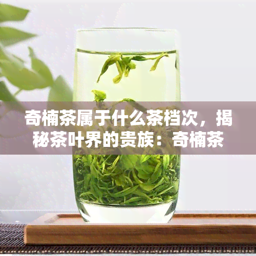 奇楠茶属于什么茶档次，揭秘茶叶界的贵族：奇楠茶属于何种茶档次？