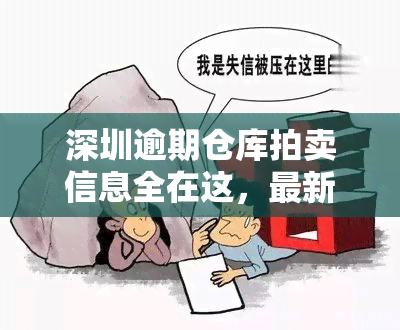 深圳逾期仓库拍卖信息全在这，最新消息一网打尽