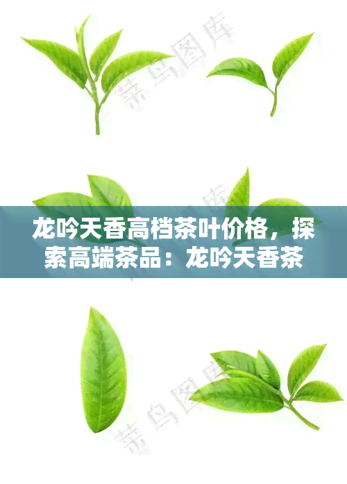 龙吟天香高档茶叶价格，探索高端茶品：龙吟天香茶叶的市场价格解析