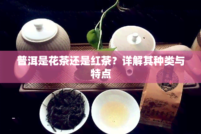 普洱是花茶还是红茶？详解其种类与特点