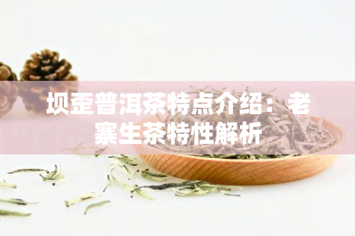 坝歪普洱茶特点介绍：老寨生茶特性解析