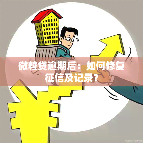 微粒贷逾期后：如何修复及记录？