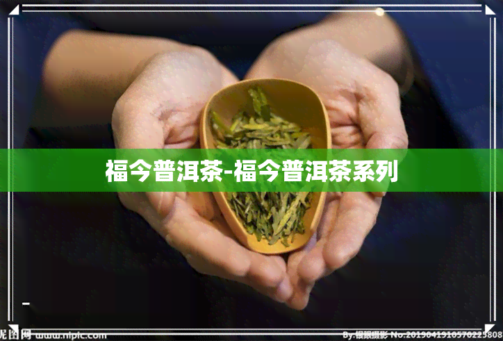 福今普洱茶-福今普洱茶系列