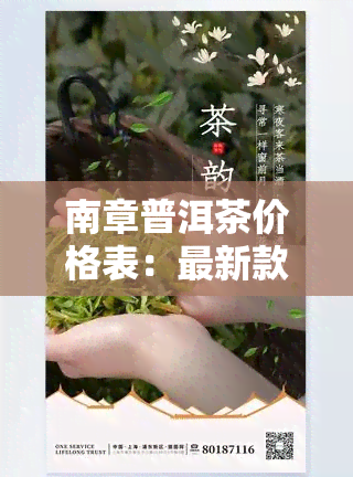 南章普洱茶价格表：最新款式与图片全览