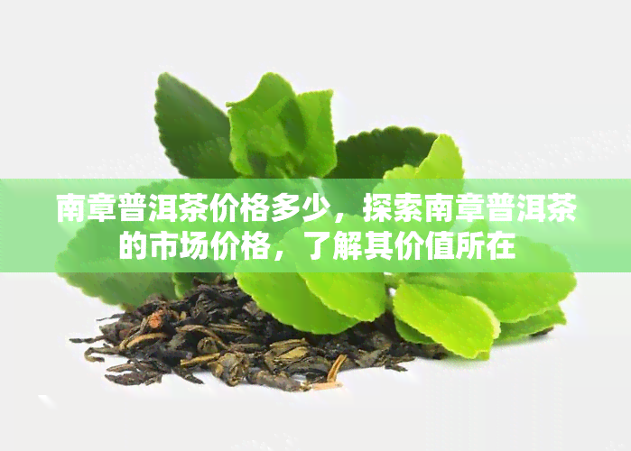 南章普洱茶价格多少，探索南章普洱茶的市场价格，了解其价值所在