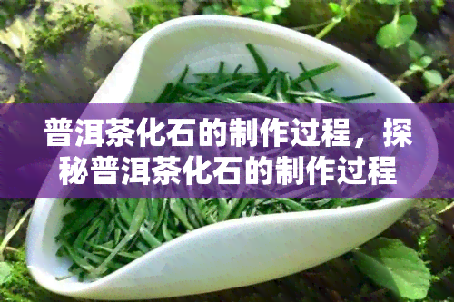 普洱茶化石的制作过程，探秘普洱茶化石的制作过程