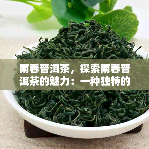 南春普洱茶，探索南春普洱茶的魅力：一种独特的中国茶文化体验