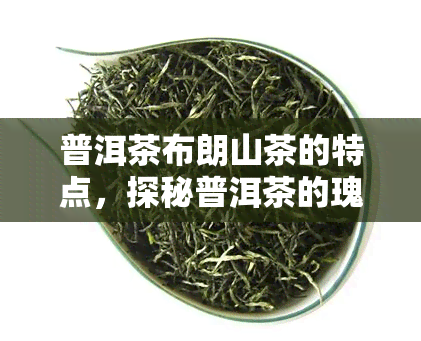 普洱茶布朗山茶的特点，探秘普洱茶的瑰宝：布朗山茶的独特之处