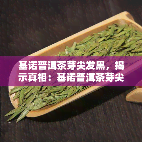 基诺普洱茶芽尖发黑，揭示真相：基诺普洱茶芽尖发黑的原因与解决方法