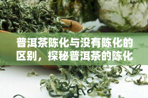 普洱茶陈化与没有陈化的区别，探秘普洱茶的陈化过程：与未陈化茶叶的区别对比