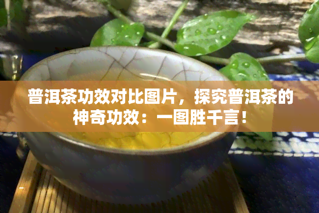 普洱茶功效对比图片，探究普洱茶的神奇功效：一图胜千言！