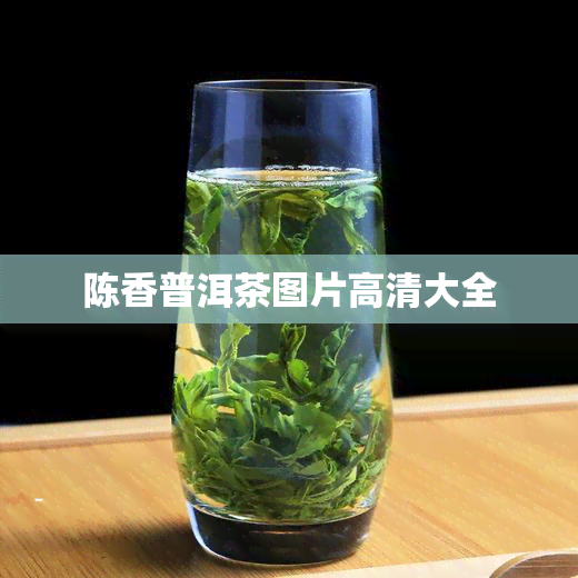 陈香普洱茶图片高清大全