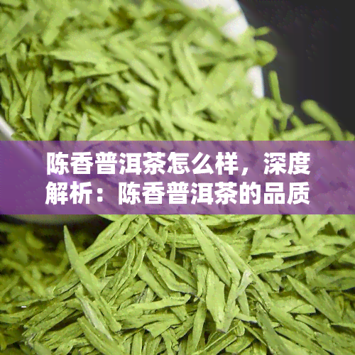 陈香普洱茶怎么样，深度解析：陈香普洱茶的品质与口感特点