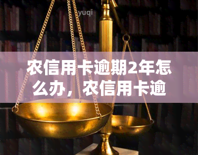 农信用卡逾期2年怎么办，农信用卡逾期两年处理方案