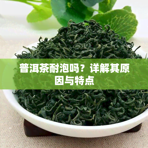 普洱茶耐泡吗？详解其原因与特点