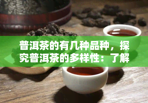 普洱茶的有几种品种，探究普洱茶的多样性：了解其不同品种和特点