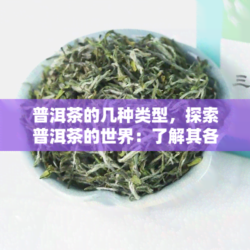 普洱茶的几种类型，探索普洱茶的世界：了解其各种类型的口感和特点