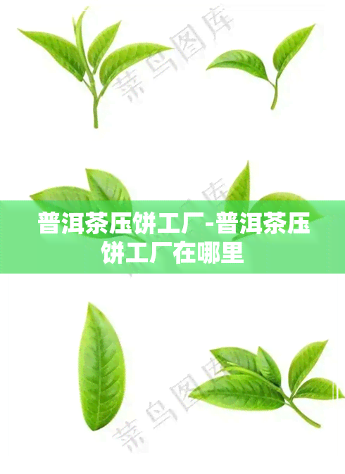 普洱茶压饼工厂-普洱茶压饼工厂在哪里