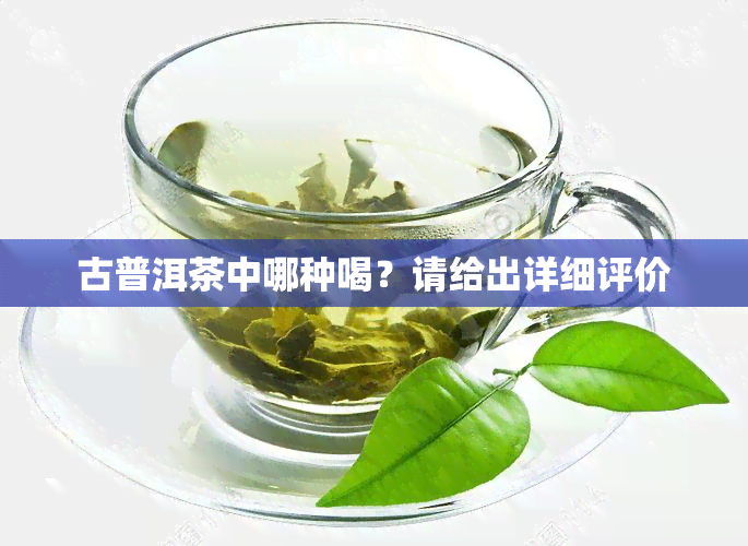 古普洱茶中哪种喝？请给出详细评价