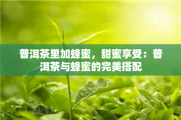 普洱茶里加蜂蜜，甜蜜享受：普洱茶与蜂蜜的完美搭配