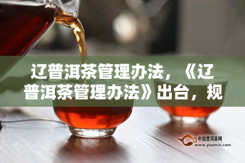 辽普洱茶管理办法，《辽普洱茶管理办法》出台，规行业发展