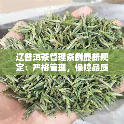 辽普洱茶管理条例最新规定：严格管理，保障品质