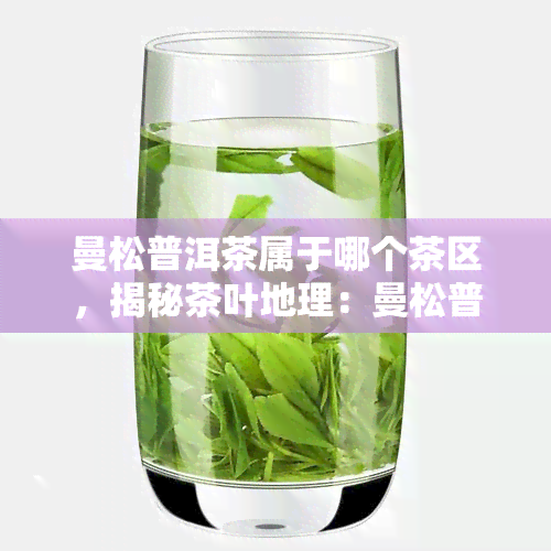 曼松普洱茶属于哪个茶区，揭秘茶叶地理：曼松普洱茶的产地究竟属于哪个茶区？