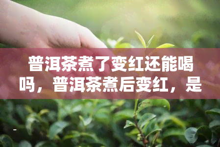 普洱茶煮了变红还能喝吗，普洱茶煮后变红，是否还能饮用？