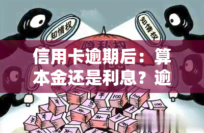 信用卡逾期后：算本金还是利息？逾期还款利息计算方法