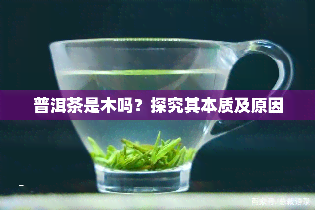 普洱茶是木吗？探究其本质及原因