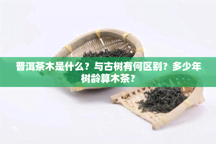 普洱茶木是什么？与古树有何区别？多少年树龄算木茶？