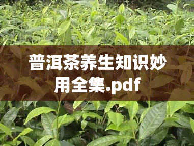 普洱茶养生知识妙用全集.pdf